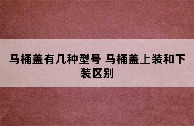 马桶盖有几种型号 马桶盖上装和下装区别